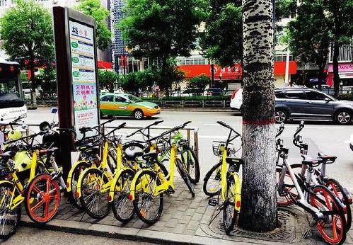 西安共享单车最新爆料  第3张